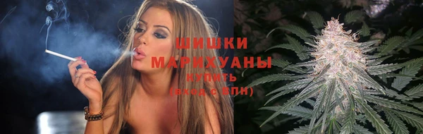 молекула духа Каменка