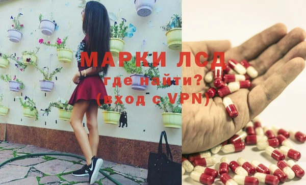 молекула духа Каменка
