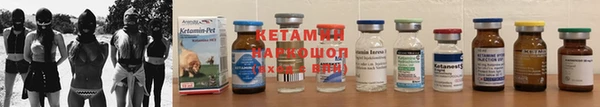 амф Каменногорск