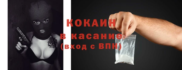молекула духа Каменка