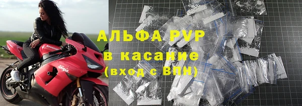 молекула духа Каменка