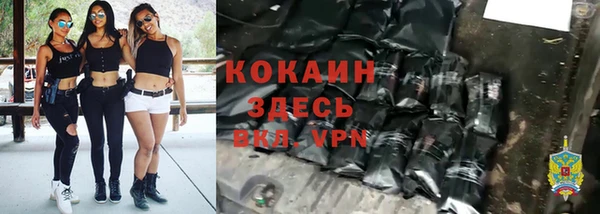 молекула духа Каменка